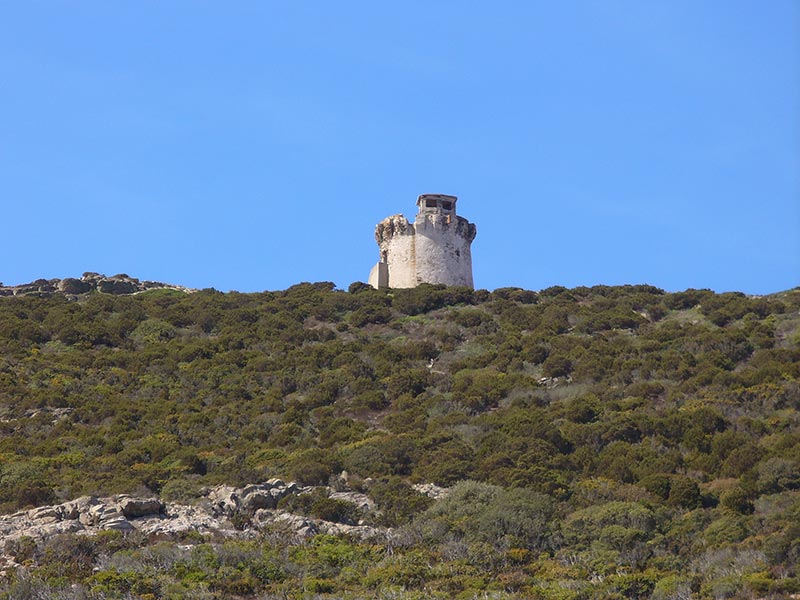 La Torre del Falcone