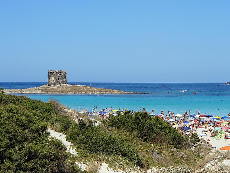 Stintino: Spiaggia La Pelosa