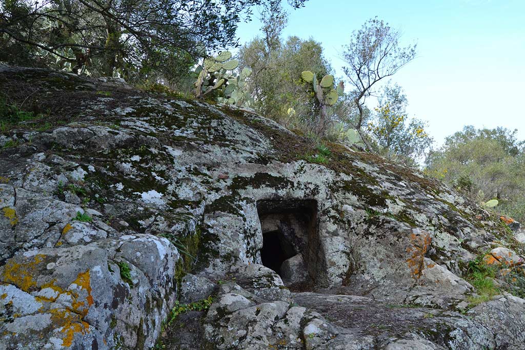 Domus de Janas