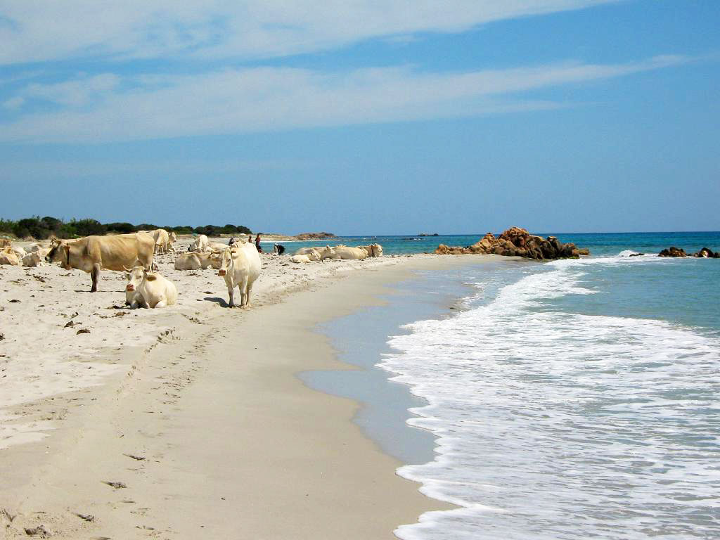 Spiaggia di Berchida